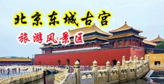强奸大乳房美女网站中国北京-东城古宫旅游风景区